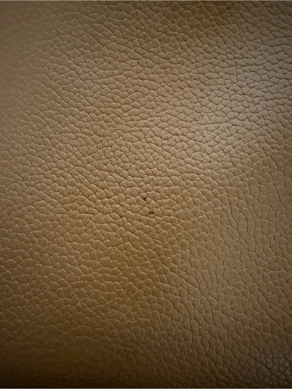 Freshly Picked Tan Leatherette Backpack Diaper Bag with Gold Hardware